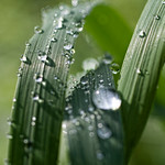Karl Johnson's photo