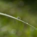 Karl Johnson's photo
